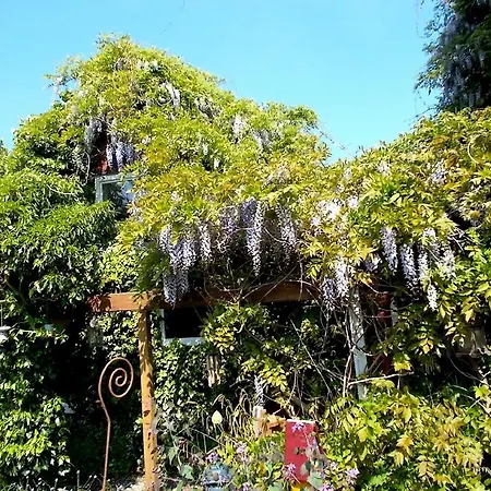 Ferienhaus Dornroschen * לייר